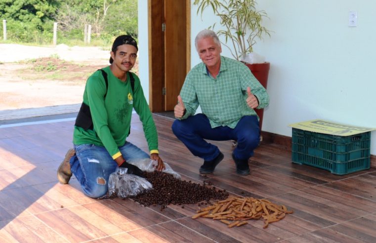 Conselheiro Flávio Gomes faz doação de sementes de árvores frutíferas ao viveiro da Coogavepe