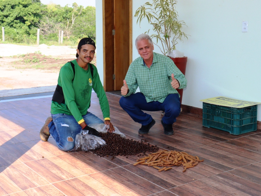 Conselheiro Flávio Gomes faz doação de sementes de árvores frutíferas ao viveiro da Coogavepe