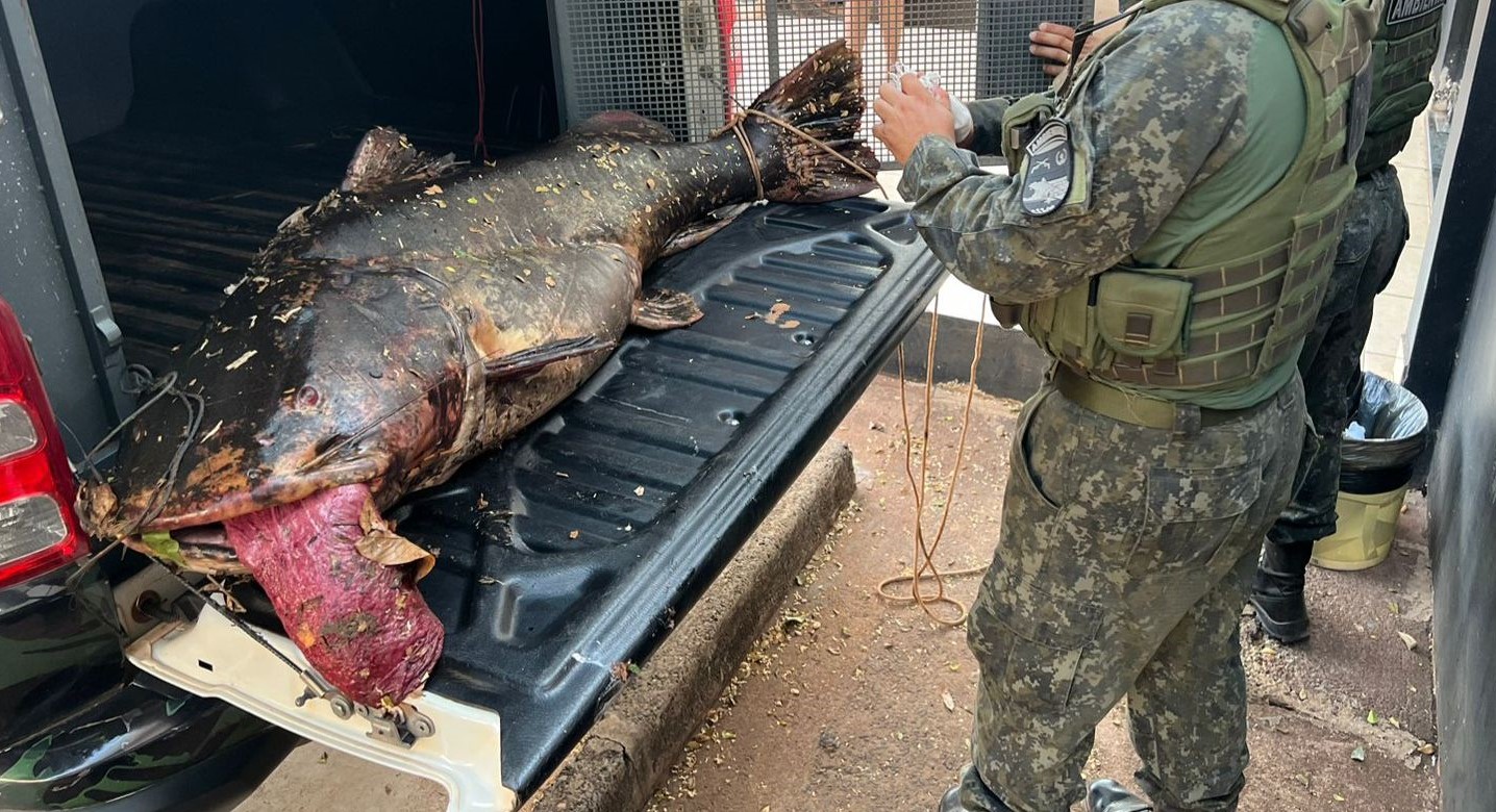 Batalhão Ambiental prende dois homens com peixe de 68 kg e aplica multa de R$ 40 mil