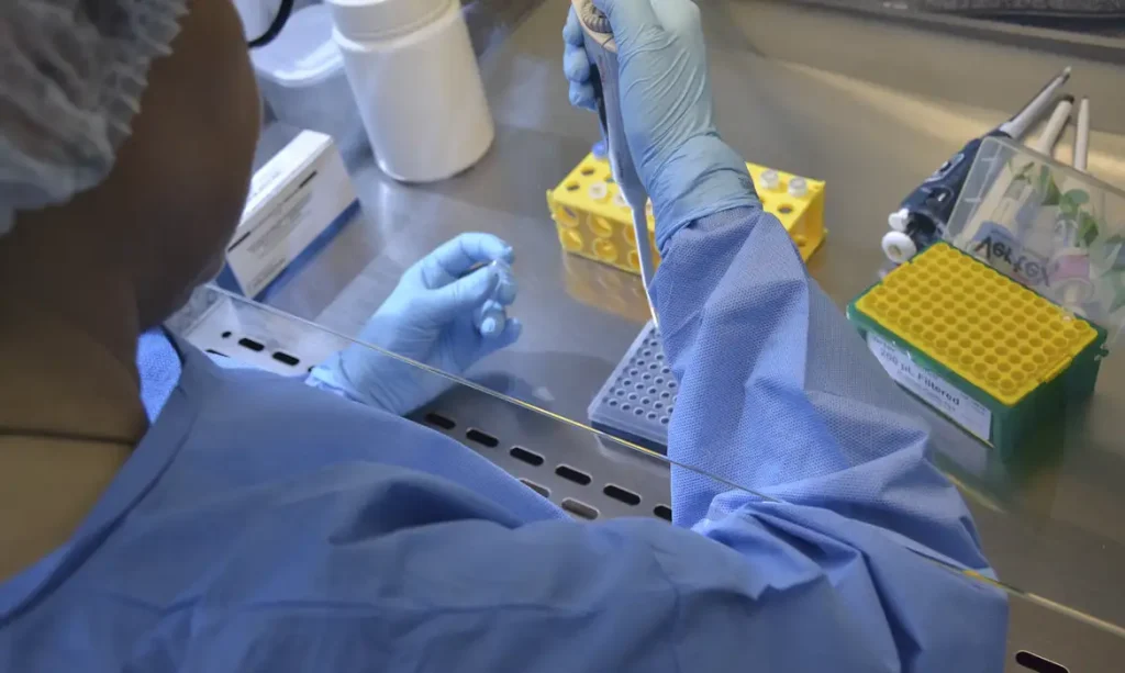 A vacina contra a chikungunya desenvolvida pelo Instituto Butantan e pela empresa de biotecnologia franco-austríaca Valneva induz resposta imune em 98,8% dos adolescentes que integram a fase 3 do ensaio clínico conduzida no Brasil. Segundo o estudo, o imunizante também demonstrou um bom perfil de segurança, independentemente da exposição prévia à chikungunya. As informações de segurança e imunogenicidade servirão de base para solicitar a aprovação do produto no Brasil na Agência Nacional de Vigilância Sanitária (Anvisa), e na Europa, na European Medicines Agency (EMA). A expectativa é submeter o pedido de aprovação para a Anvisa no primeiro semestre de 2024. Na última semana, a vacina foi aprovada para adultos pela agência reguladora dos Estados Unidos, Food and Drug Administration (FDA), tornando-se o primeiro imunizante autorizado para uso no mundo contra chikungunya. “Os dados são excelentes e mostram que estamos no caminho certo. É uma vacina segura e com alta capacidade de induzir anticorpos protetores. Estamos otimistas que, respeitando todas as etapas de estudos e validação pelos órgãos reguladores, poderemos oferecer essa vacina para proteger as pessoas desta doença que infelizmente acomete o país”, afirmou, em nota, Esper Kallás, diretor do Instituto Butantan. O estudo clínico brasileiro incluiu a participação de 750 jovens de 12 a 17 anos que residem em áreas endêmicas nas cidades de São Paulo, São José do Rio Preto (SP), Salvador, Fortaleza, Belo Horizonte, Laranjeiras (SE), Recife, Manaus, Campo Grande e Boa Vista. Entre os voluntários, 500 receberam uma dose da vacina e 250 receberam placebo. A análise de imunogenicidade foi feita 29 dias após a aplicação de uma única dose da vacina. Entre os participantes sem contato prévio com o vírus da chikungunya, 98,8% apresentaram anticorpos protetores contra a doença. Já para o grupo que tinha histórico de infecção prévia, a positividade de anticorpos foi de 100%. A candidata a vacina de vírus atenuado contra chikungunya (VLA1553) é resultado de um acordo de transferência de tecnologia firmado entre o Instituto Butantan e a empresa francesa de biotecnologia Valneva, em 2020. Por meio da parceria, será possível produzir e disponibilizar o imunizante no Brasil pelo Sistema Único de Saúde (SUS). Segurança Durante o período do estudo feito no Brasil, não foi identificado nenhum ponto de preocupação. A pesquisa sugere que a vacina é segura e bem tolerada, inclusive em participantes com exposição prévia ao vírus. A grande maioria das reações adversas foram consideradas leves a moderadas e se resolveram em cerca de três dias. Os efeitos mais comuns foram dor e sensibilidade no local da injeção, dor de cabeça, dor no corpo, febre e fadiga. Impactos da chikungunya O vírus da chikungunya circula em mais de 110 países. No Brasil, só em 2023, foram registrados 143.739 casos prováveis de chikungunya, com maior incidência no Sudeste, seguida das regiões Nordeste e Centro-Oeste, segundo o Ministério da Saúde. Em relação aos óbitos, apenas neste ano foram confirmadas 82 mortes, grande parte delas com comorbidades associadas (73,2%). Entre 2021 e 2022, houve um aumento de mais de 100% nos casos da doença. Transmitida pelos mosquitos Aedes aegypti e Aedes albopictus, a infecção pode deixar fortes dores crônicas nas articulações como sequela, além de gerar complicações graves em recém-nascidos infectados durante o parto e idosos com comorbidades.
