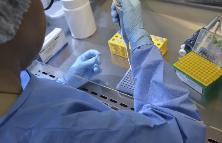 Vacina da chikungunya induz resposta imune em 98,8% dos vacinados
