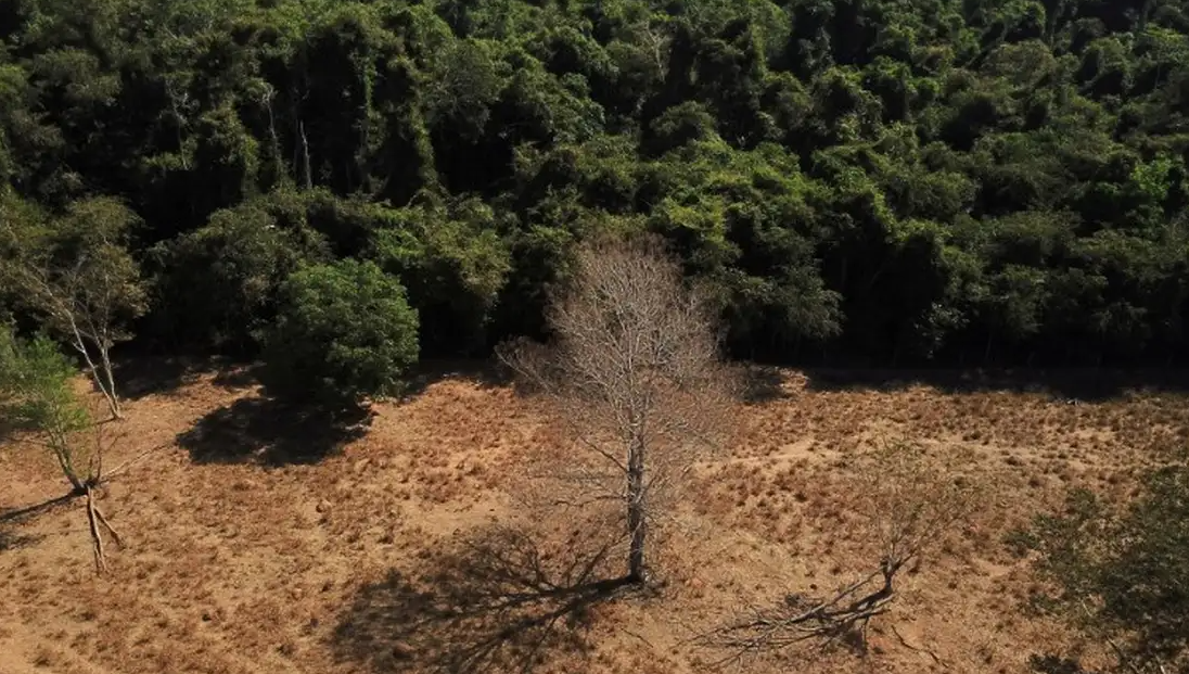 Estados já podem aderir ao programa de segurança da Amazônia