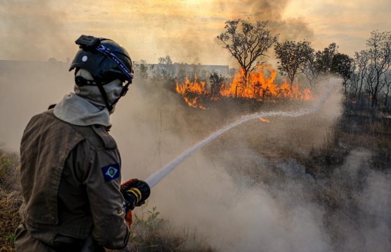 Governos de MT e Federal realizarão esforço concentrado nas áreas de maior risco de incêndio