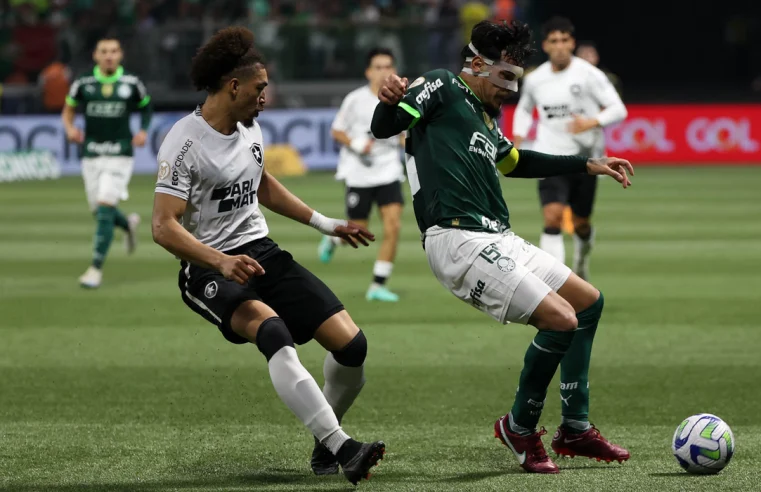 Tentando retomar caminho das vitórias, líder Botafogo recebe Palmeiras