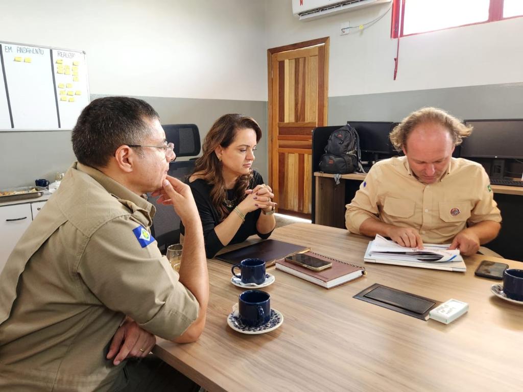 Governos de MT e Federal elaboram plano de combate contra incêndios florestais no Pantanal