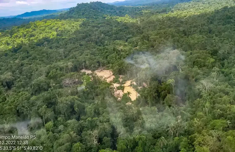 Retirada de invasores de TI do Pará tem prisão e apreensão de madeira