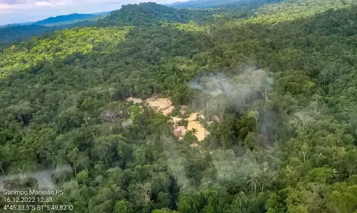 Retirada de invasores de TI do Pará tem prisão e apreensão de madeira