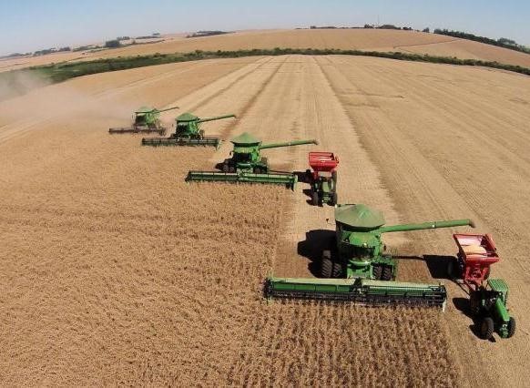 Valor da Produção Agropecuária deve atingir R$ 1,159 trilhão este ano