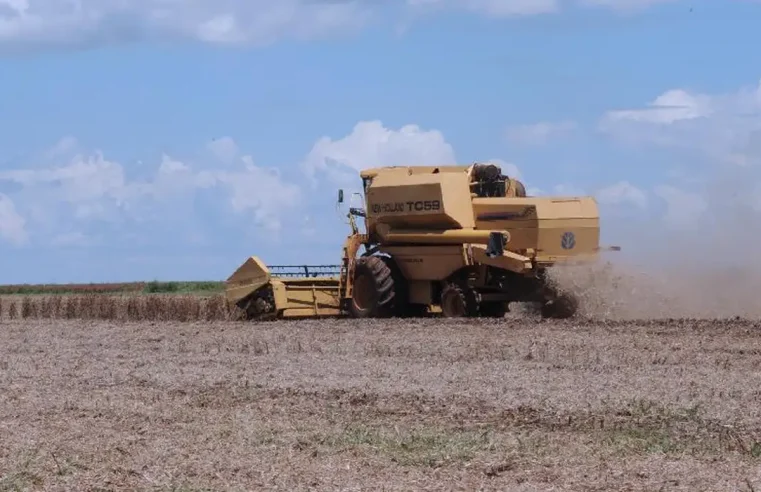 Falta de investimento em seguro rural compromete desempenho do agronegócio