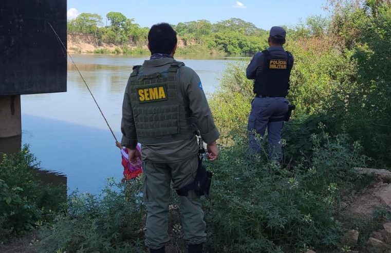 Fiscalização apreende 885 kg de pescado e solta 973 peixes nos dois primeiros meses de defeso da piracema