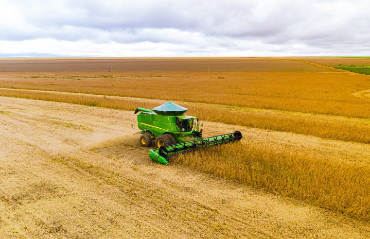 Prazo de plantio da soja é ampliado em Mato Grosso