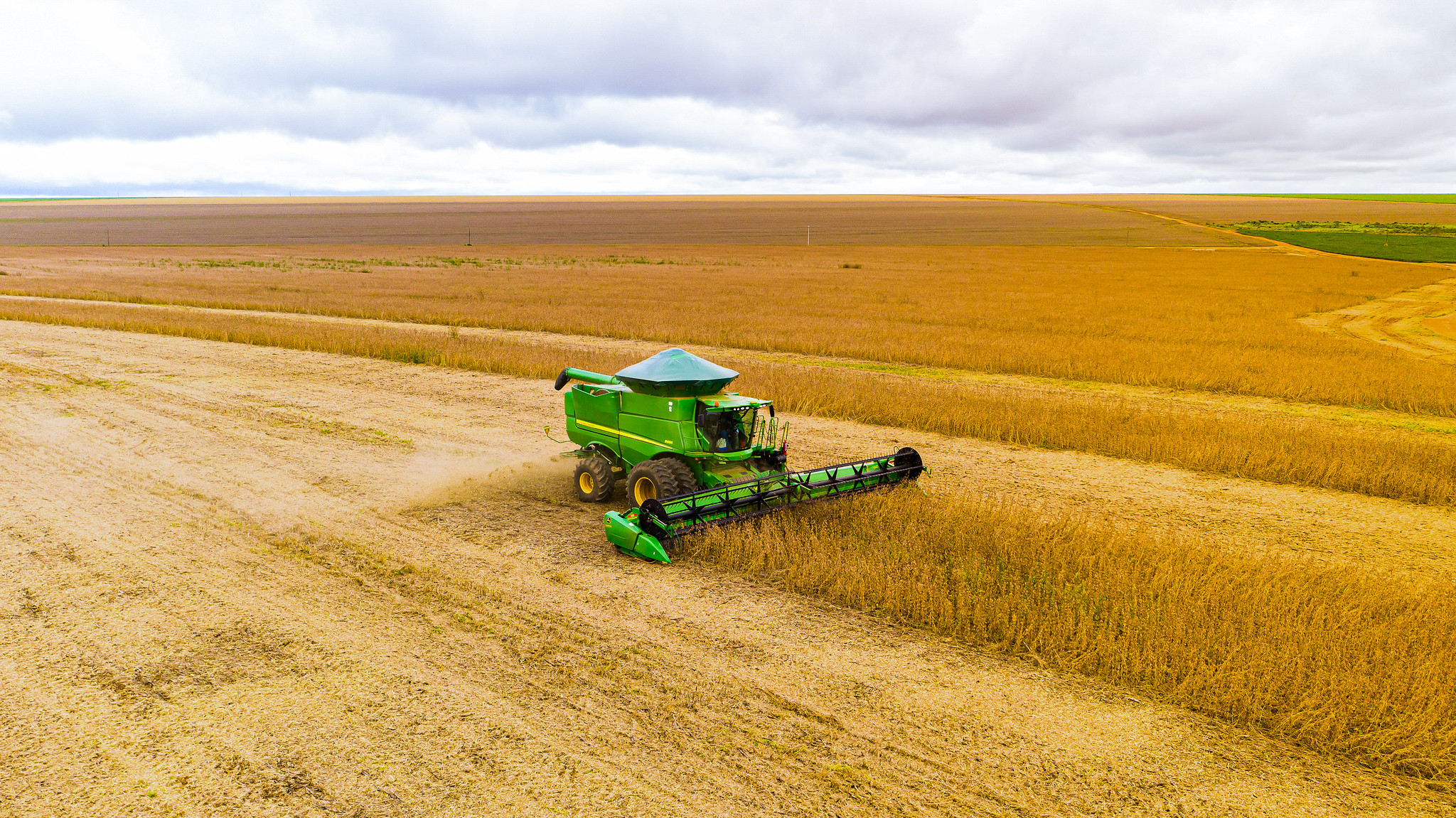 Prazo de plantio da soja é ampliado em Mato Grosso