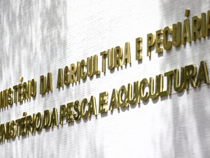 Ministério da Agricultura fecha o ano com 76 mercados abertos para produtos agro em 38 países