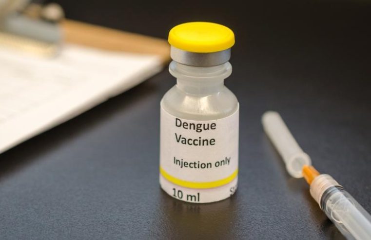 Vacina contra dengue é incorporada no SUS