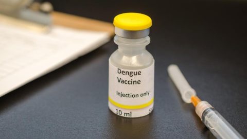 Vacina contra dengue é incorporada no SUS