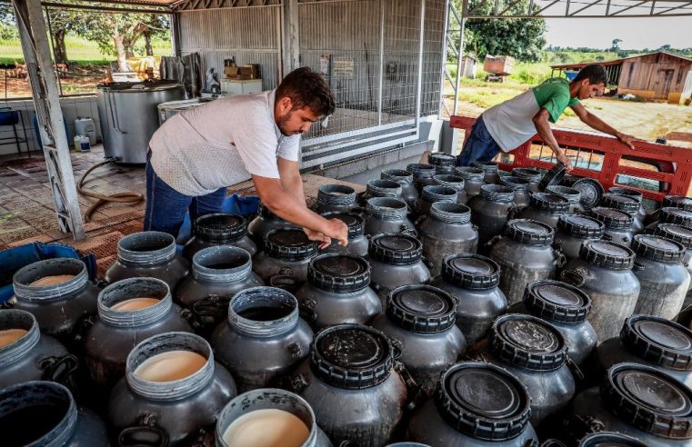 Governo de MT sanciona duas leis para fortalecer a agricultura familiar no Estado