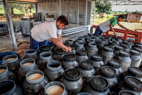 Governo de MT sanciona duas leis para fortalecer a agricultura familiar no Estado