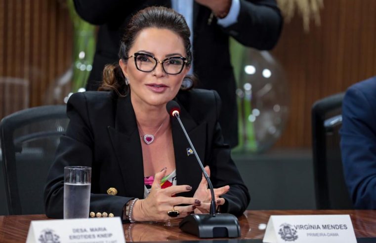 Primeira-dama de MT destaca avanços no combate à violência com criação de superintendência e coordenadoria especializadas às mulheres