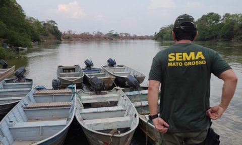 Sema-MT devolve mais de uma tonelada de peixes aos rios