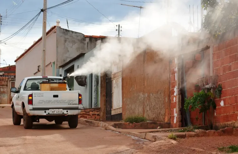 Saúde Ivermectina não é eficaz contra dengue, alerta Ministério da Saúde