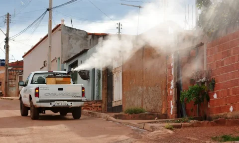 Saúde Ivermectina não é eficaz contra dengue, alerta Ministério da Saúde