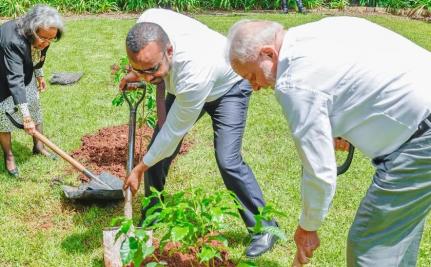 Lula planta pé de oliveira em Embaixada e pergunta quando nascem as uvas