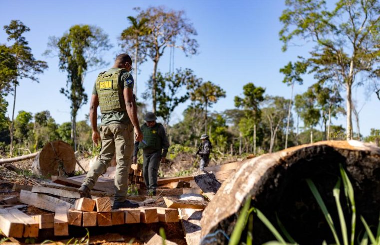 Período proibitivo para exploração do manejo florestal sustentável segue até 1º de abril