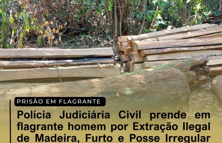 Polícia Judiciária Civil prende em flagrante homem por Extração Ilegal de Madeira, Furto e Posse Irregular de Arma de Fogo em Marcelândia.