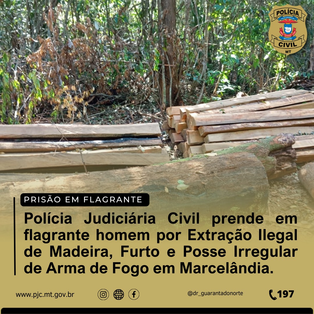 Polícia Judiciária Civil prende em flagrante homem por Extração Ilegal de Madeira, Furto e Posse Irregular de Arma de Fogo em Marcelândia.