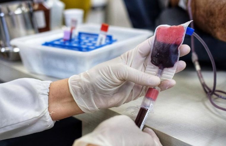 MT Hemocentro intensifica coletas de sangue e entrega camiseta e calendário a doadores