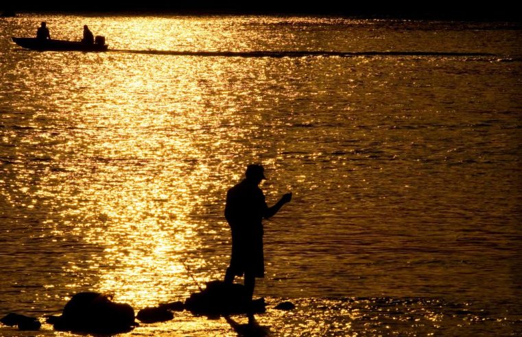 Carteira de pesca amadora continua sendo obrigatória em Mato Grosso