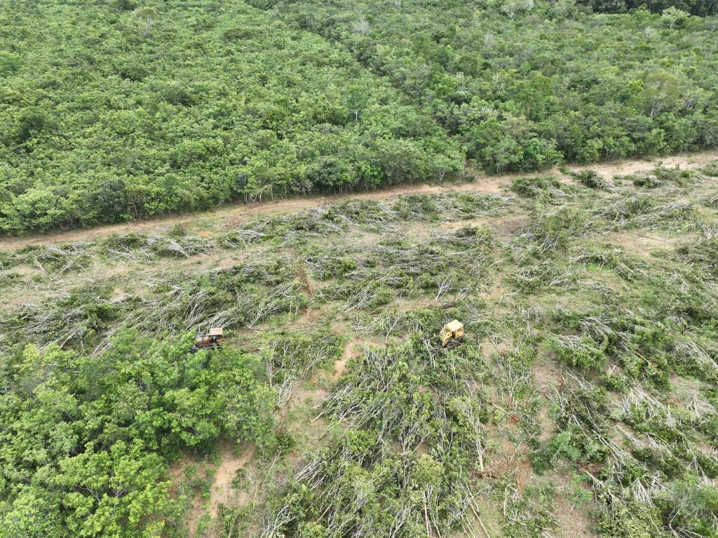 Sema e PM flagram desmatamento ilegal com apoio de drones e tecnologia de geoprocessamento