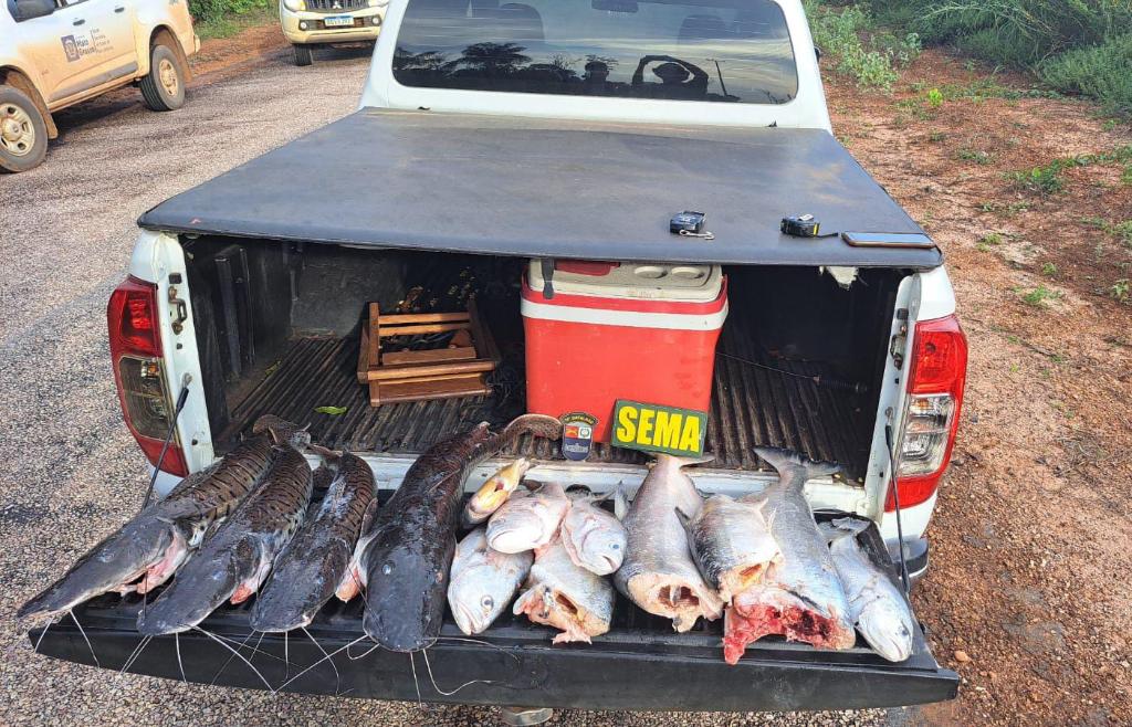 Fiscalização apreende 30 quilos de pescado durante patrulhamento em Sinop