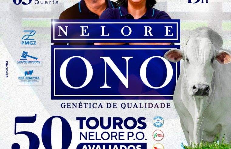 Estância Santa Inês realizara o 6º Leilão Presencial Nelore Ono