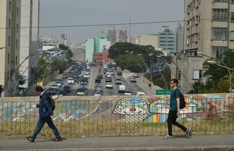 Estado de São Paulo decreta emergência para dengue