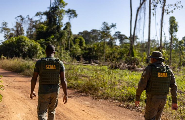 Operações ambientais resultaram na aplicação de R$ 2,3 milhões por crimes ambientais no primeiro bimestre