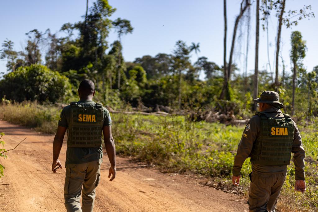 Operações ambientais resultaram na aplicação de R$ 2,3 milhões por crimes ambientais no primeiro bimestre