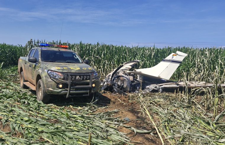 Gefron apreende cerca de 500 kg de entorpecente perto de aeronave queimada