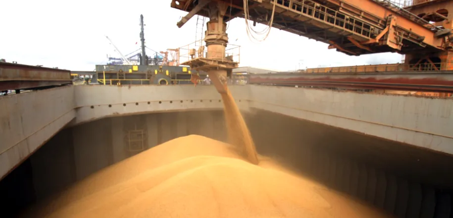 Sinop chega a R$ 8,3 bilhões produtos negociados com diversos países; 3º maior saldo de MT