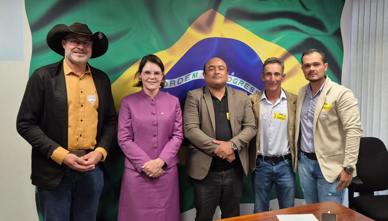 Vereadores buscam em Brasília recursos para pavimentação de ruas de acesso às escolas públicas urbanas de Guarantã do Norte